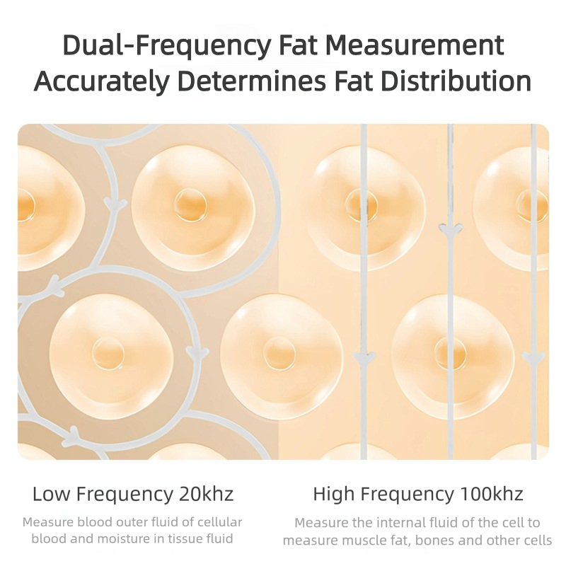 Strailine Smart Scales Composition BMI 150kg Analyzer Bluetooth APP digital weight body fat scale