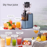 Strailine Slow juicer cold press,3-in-1 multi-function  juicer machine, smoothies, and nut milks, orange juice blender,Blue